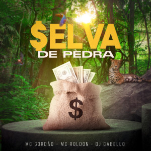 Album Selva de Pedra from 