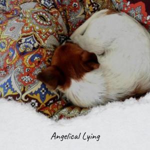 Angelical Lying dari Various