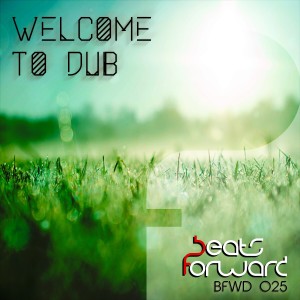 Bart Marley的專輯Welcome to Dub
