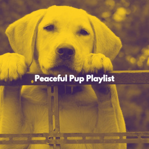 Album Peaceful Pup Playlist oleh Popular Jazz Coffee Break