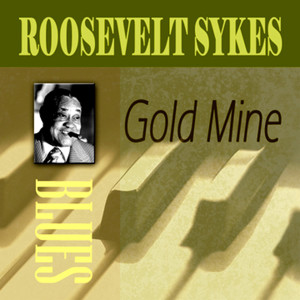 ดาวน์โหลดและฟังเพลง I'm a Dangerous Man พร้อมเนื้อเพลงจาก Roosevelt Sykes