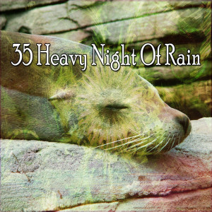 ดาวน์โหลดและฟังเพลง Heavy Rain พร้อมเนื้อเพลงจาก Rain for Deep Sleep