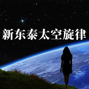 อัลบัม 新东泰太空旋律 (DJ版) ศิลปิน Dj波仔