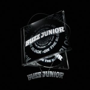 ดาวน์โหลดและฟังเพลง trynawhip (Explicit) พร้อมเนื้อเพลงจาก Buzz Junior