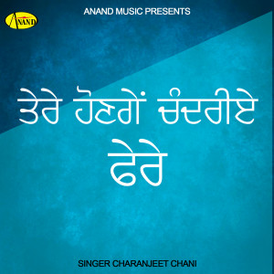 Listen to Mareiya De Naal Jhaliye song with lyrics from Charanjeet Channi