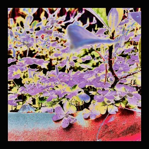 Listen to MOSS ON THE TREE (Explicit) song with lyrics from Hugo