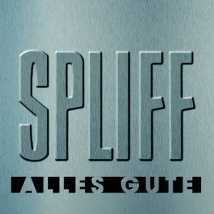 ดาวน์โหลดและฟังเพลง Wellensalat (Album Version) พร้อมเนื้อเพลงจาก Spliff
