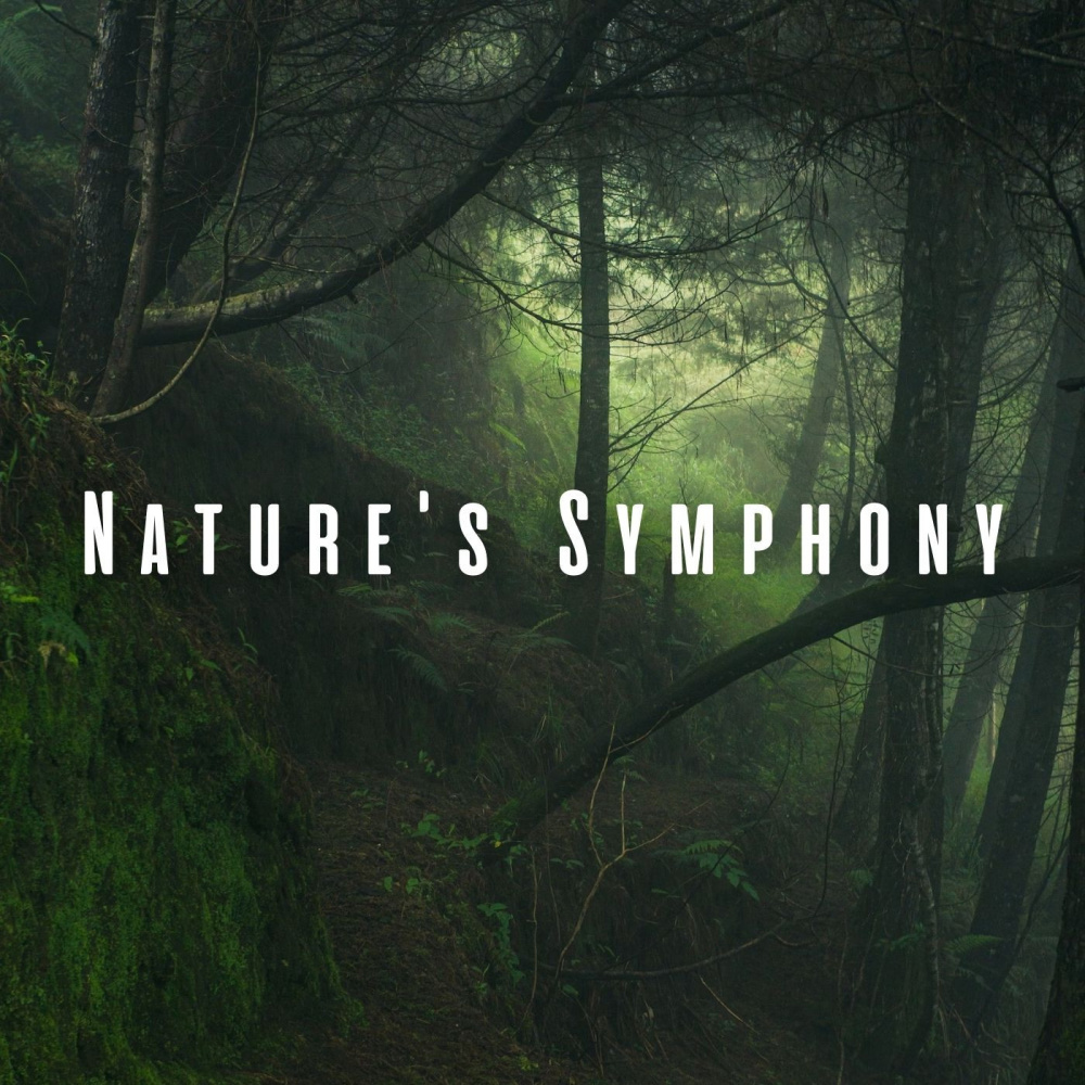 Serene Nature's Meditation