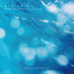 Album Hikari No Kioku (ynkmr. (BLU-SWING) Sea of Love Remix) from BLU-SWING