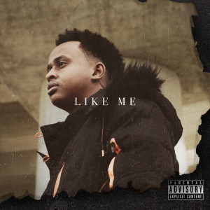 Listen to Like Me (Explicit) song with lyrics from Mo Muse