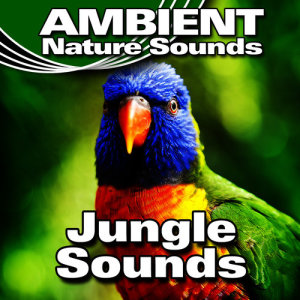 ดาวน์โหลดและฟังเพลง Rainfall Through the Jungle Canopy พร้อมเนื้อเพลงจาก Ambient Nature Sounds