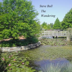 Album The Wandering from Steve Bull