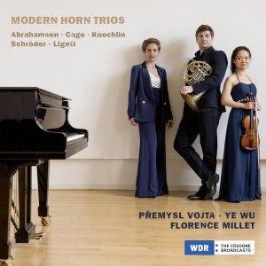 Přemysl Vojta的專輯Modern Horn Trios