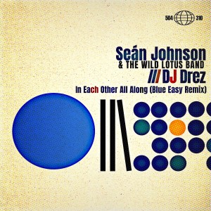 Sean Johnson的专辑In Each Other All Along (Blue Easy Remix)