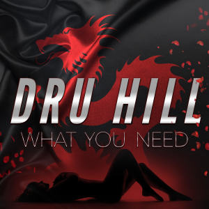 收聽Dru Hill的What You Need歌詞歌曲