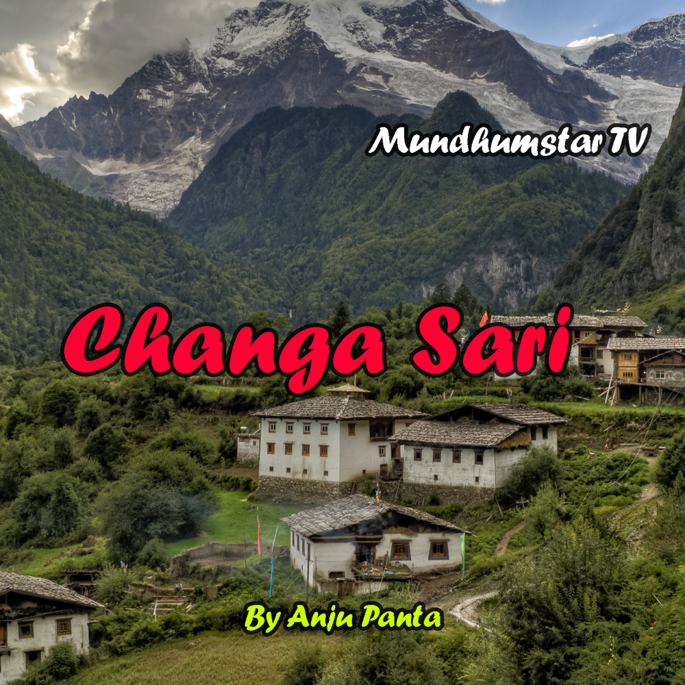 Changa Sari