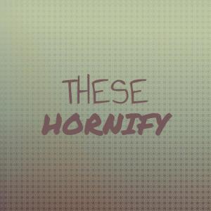 Listen to These Hornify song with lyrics from Elizah
