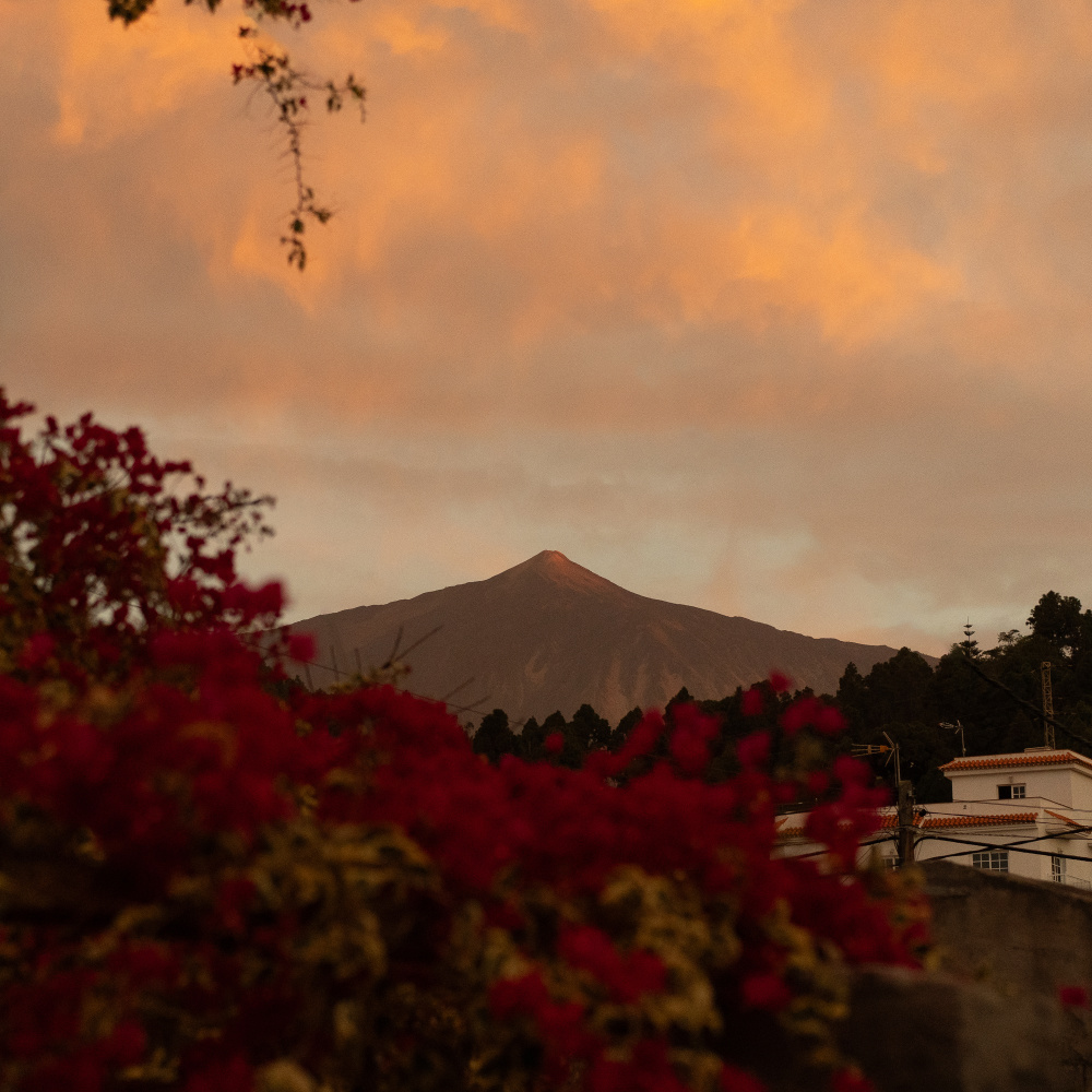 La Laguna