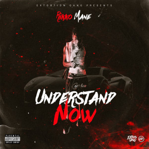 Listen to Understand Now (Explicit) song with lyrics from Rikko Mane