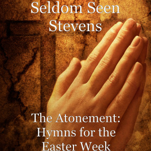收听Seldom Seen Stevens的I Know That My Redeemer Lives歌词歌曲