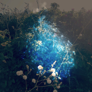 Kodomo的專輯Unrosive