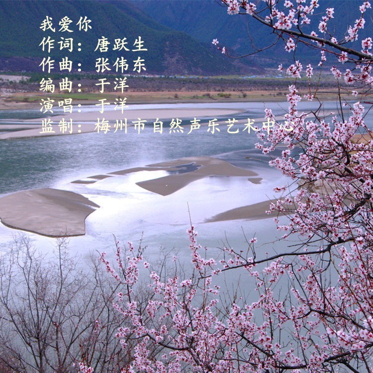 我爱你    （男声版二） (完整版)