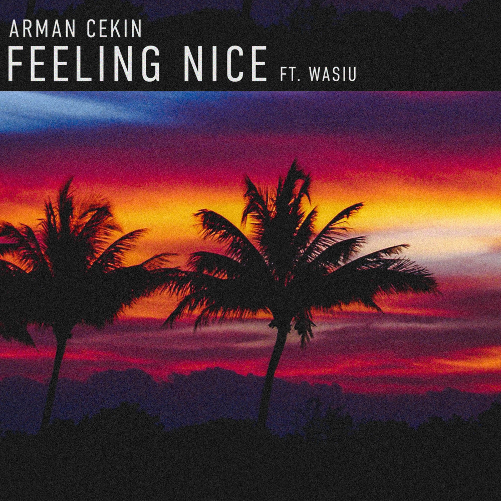 Feeling Nice (Explicit)