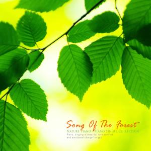 Song Of The Forest