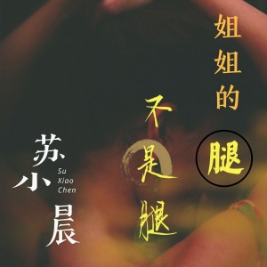收聽蘇小晨的姐姐的腿不是腿歌詞歌曲