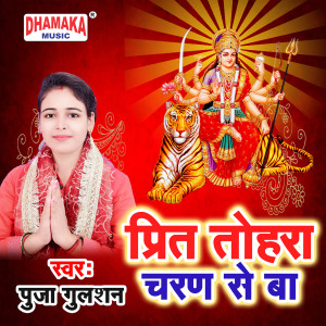Listen to Preet Tohra Charan Se Ba song with lyrics from Puja Gulshan