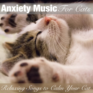 Listen to Laying in the Sun song with lyrics from RelaxMyCat
