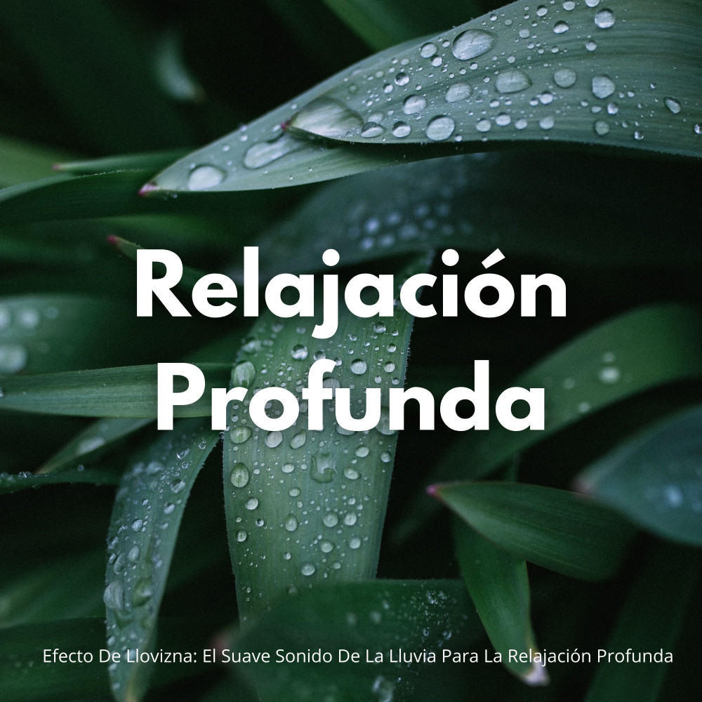 Relajación Pura