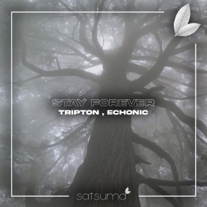 Album Stay Forever from Tripton
