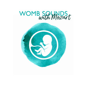 Womb Sounds with Mozart (Pregnancy Music for Pregnant Mothers and Babies) dari Various Artists