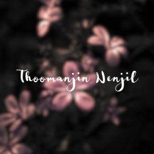 Listen to Thoomanjin Nenjil song with lyrics from Basil Eldow
