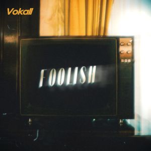 Album Foolish from Tally Schwenk