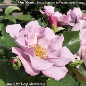 Album Om Shanti: Peace Mantras for Tumultuous Times from Music for Deep Meditation