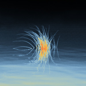 Listen to Floating Sun song with lyrics from Triomphe