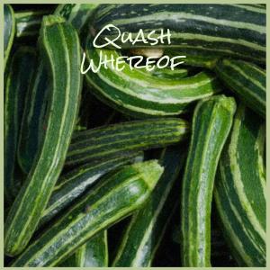 Various的专辑Quash Whereof