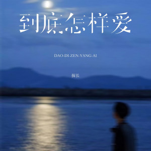 Album 到底怎样爱 from 探长