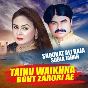收聽Shoukat Ali Raja的Tainu Waikhna Boht Zarori Ae歌詞歌曲