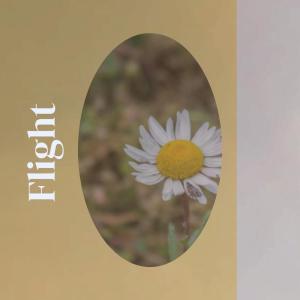 Album Flight from Various