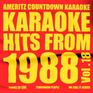 收聽Ameritz Countdown Karaoke的We Call It Acieed (In the Style of D-Mob) [Karaoke Version] (Karaoke Version)歌詞歌曲