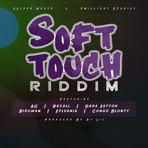 Various Artists的專輯Soft Touch Riddim