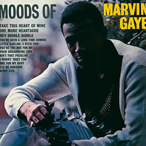 ดาวน์โหลดและฟังเพลง I'll Be Doggone พร้อมเนื้อเพลงจาก Marvin Gaye
