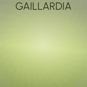 อัลบัม Gaillardia ศิลปิน Various