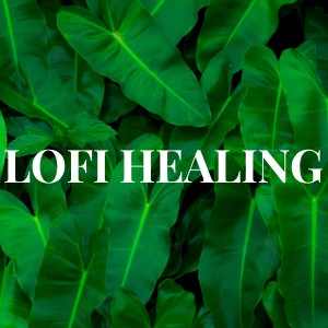 LOFI HEALING dari Healing Music