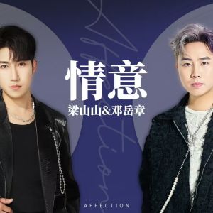 Album 情意 from 邓岳章
