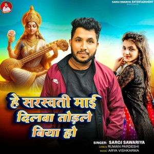 Album He Sarswati Maai Dilwa Todale Biya Ho from 