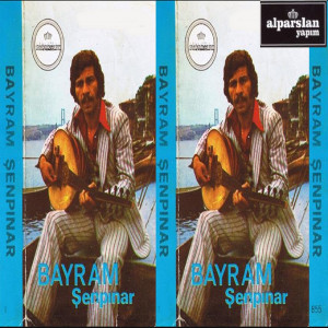 Listen to Beterin Beteri Var song with lyrics from Bayram Şenpınar